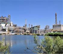 BSR: Giải pháp nào để BSR vượt qua thách thức trong năm bản lề 2026?