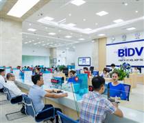 Thanh tra NHNN Khu vực 9 đưa ra một số cảnh báo đối với BIDV Sông Hàn