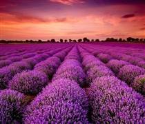 YEG: Bốc đầu kịch trần liên tiếp sau thông tin "ông lớn" âm nhạc rót vốn