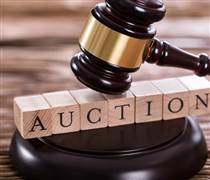 Dòng tiền đổ về hoạt động đấu giá