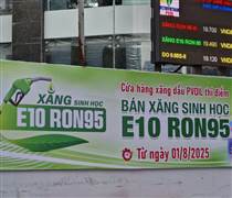 Cần cơ chế thuế đột phá để xăng sinh học E10 cạnh tranh và phát triển bền vững