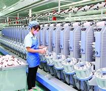 TCM: Trả cổ tức 56 tỷ đồng tiền mặt, lợi nhuận 11 tháng mới đạt 93% kế hoạch