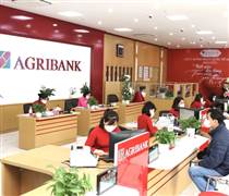 Khách hàng Agribank chú ý: Không cung cấp thông tin tài khoản khi được yêu cầu cập nhật thủ tục thuế trong trường hợp sau