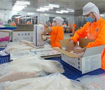 ANV: Phó Tổng Giám đốc Nam Việt muốn bán cổ phiếu