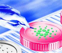 36 triệu USD nhà đầu tư lớn mua Cardano gặp tín hiệu đảo chiều — Điều gì sẽ xảy ra tiếp theo?