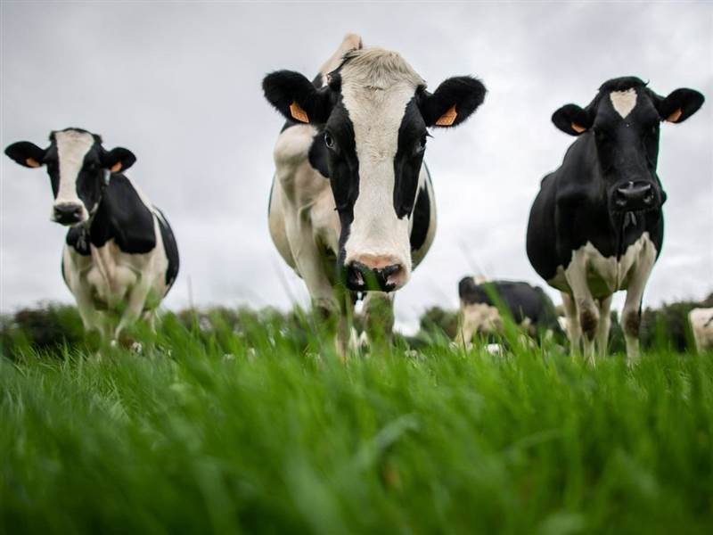 Trung Quốc ‘trả đũa’