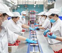 VISSAN chi hơn 530 tỉ đồng dự trữ hàng Tết, tung loạt sản phẩm mới