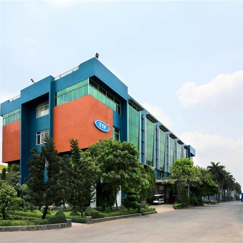 TTF: Gỗ Trường Thành tiếp tục thay Kế toán trưởng chỉ sau hơn 2 tháng bổ nhiệm