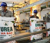 Nhóm cổ phiếu phân bón sẽ làm nên "mùa vàng” năm tới?