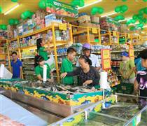 MWG: Mỗi ngày mở 2 siêu thị, một “đại gia” bán lẻ sắp “đổ bộ” Hà Nội