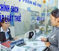 Bộ Tài chính nói gì về tình trạng 'nợ thuế oan'?