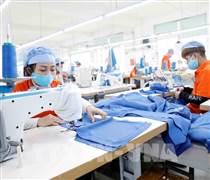 Công đoàn Dệt may Việt Nam tạo giá trị gần 300 tỷ đồng từ sáng kiến