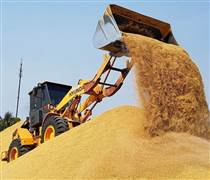 Vựa lúa lớn nhất thế giới tồn kho tăng kỷ lục, đối thủ của gạo Việt Nam nhận tin không vui