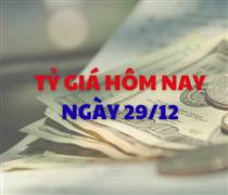 Tỷ giá hôm nay 29/12: Đồng USD và NDT biến động trái chiều