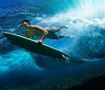 "Sóng thoái vốn" kỳ vọng dẫn dắt chứng khoán 2026: Loạt doanh nghiệp lớn vào tầm ngắm