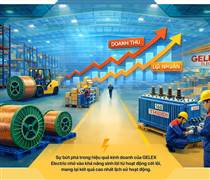GEE: Hiện tượng GELEX Electric: Khi tăng trưởng đột phá gọi tên một doanh nghiệp sản xuất