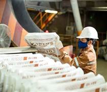 HT1: Vicem Hà Tiên bị phạt và truy thu thuế hơn 2,6 tỷ đồng