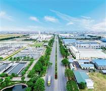 IPO Hạ tầng Gelex: Hơn 170 nhà đầu tư đăng ký đấu giá, vượt 23% lượng chào bán