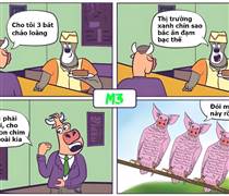 VNINDEX của chúng ta lên cao nhất lịch sử trong phiên giao dịch cuối năm 2025