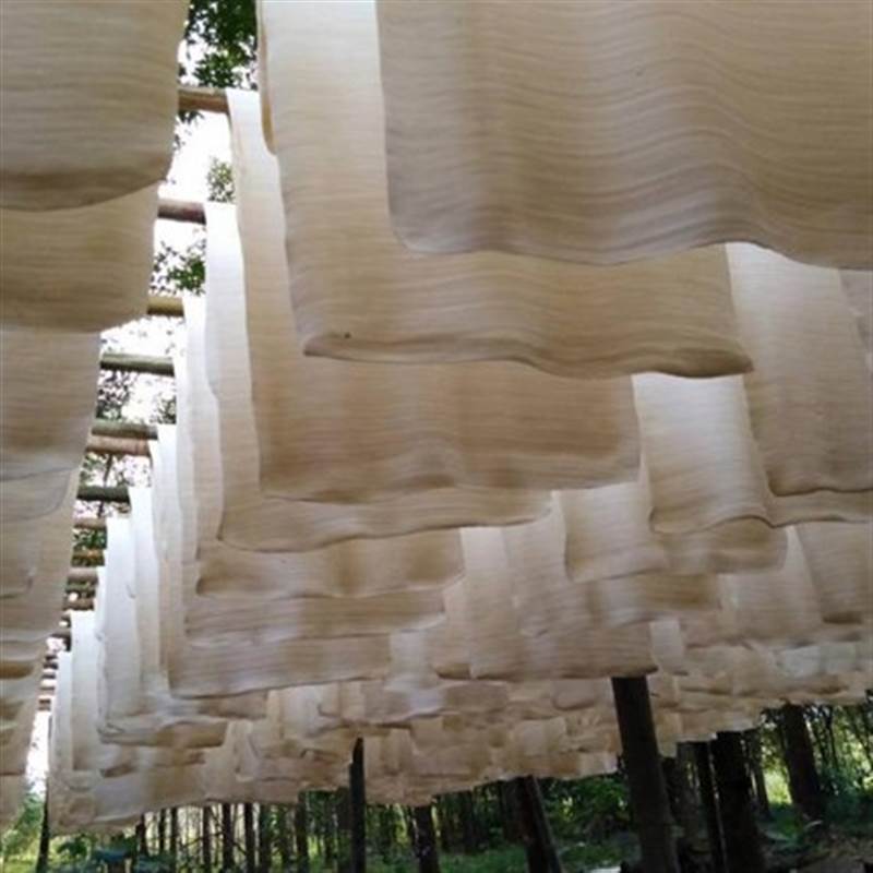 'Vàng trắng' của Việt Nam đắt hàng tại Đông Nam Á: diện tích trồng hơn 900.000 ha, nước ta là ông lớn top 5 thế giới