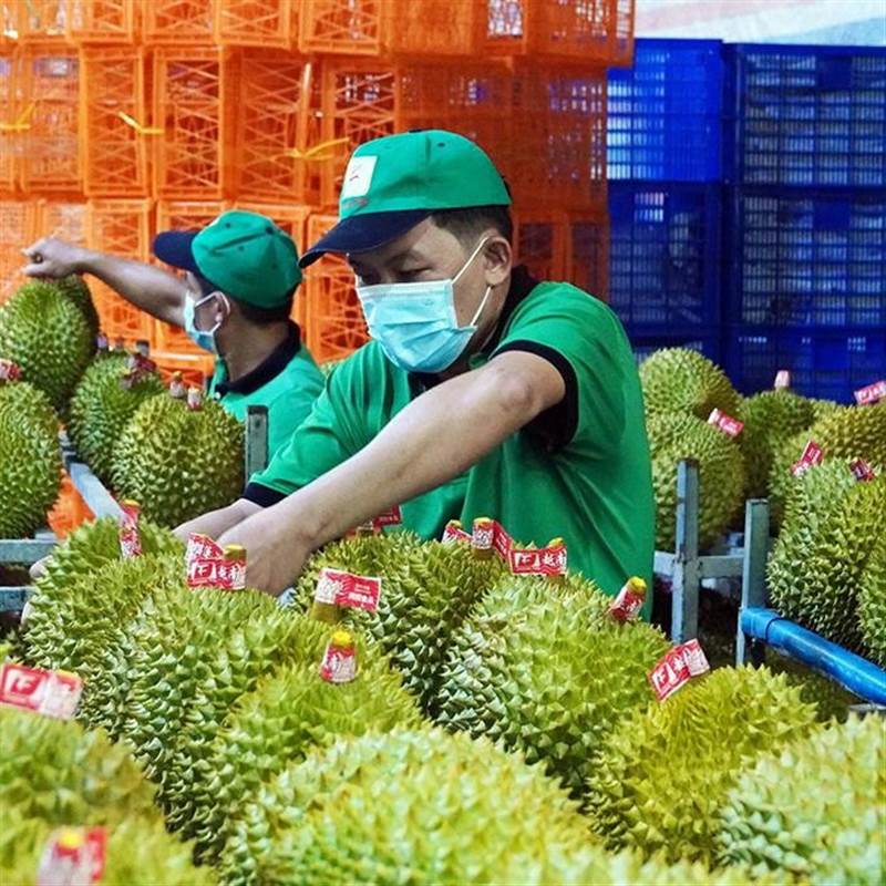 Dự báo mặt hàng rau quả mới sẽ gia nhập 'câu lạc bộ' tỷ USD