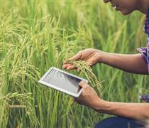 Dữ liệu số - nền tảng để nông nghiệp Việt Nam làm chủ "cuộc chơi"