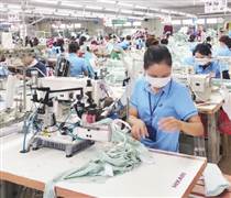 Năm 2026 và kỳ vọng vào sức bật mới cho doanh nghiệp