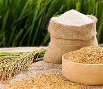 Giá lúa gạo hôm nay 2/1: Ấn Độ tăng lên mức cao nhất ba tháng, Việt Nam và Thái Lan đi ngang