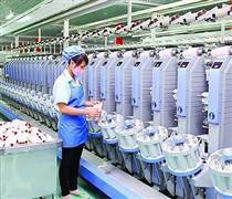 VCBS: Cổ phiếu TCM của Dệt may Thành Công chưa phù hợp cho chiến lược ngắn hạn