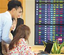 Dự phóng KQKD quý IV/2025: Nhóm điện sẽ tỏa sáng?