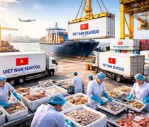 Thủy sản lập kỷ lục xuất khẩu, dự báo triển vọng năm 2026