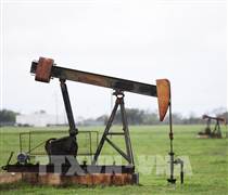 Giá dầu thế giới giảm mạnh do biến động tại Venezuela và tình trạng dư cung