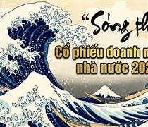 Điểm danh 26 công ty trên sàn có tỷ lệ sở hữu Nhà nước 'cô đặc' từ 65% - 99%