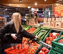 Eurozone: Lạm phát giảm xuống 2% trong tháng 12/2025