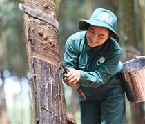 Dòng tiền đổ vào cổ phiếu Nhà nước dự kiến thoái vốn