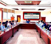 DLG: Tầm nhìn bứt phá 2026 và chiến lược phát triển mới