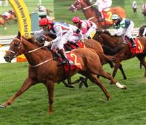 Thị phần môi giới của SSI trên HoSE lên cao nhất 22 quý