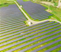 HID: Vì sao cổ phiếu HID của Halcom Việt Nam tăng sốc - giảm sâu?