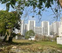 Ba lý do khiến cổ phiếu bất động sản bị 'đạp' mạnh