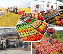 Xuất khẩu hàng hóa và dịch vụ chiếm 83% GDP