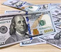 Tỷ giá USD hôm nay 13/1/2026: Thị trường tự do tiếp tục giảm, trong ngân hàng đi ngang
