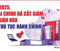 Infographics: Bộ Tài chính đã cắt giảm, đơn giản hóa 503 thủ tục hành chính trong năm 2025