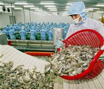 FMC: Chịu sức ép thuế quan