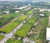 Ninh Bình đấu giá 218 lô đất, giá khởi điểm từ 7,7 triệu đồng/m2