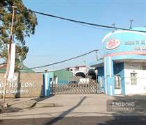 Vụ Công ty Đồ hộp Hạ Long: Tiêu hủy hơn 132 tấn thịt nhiễm bệnh