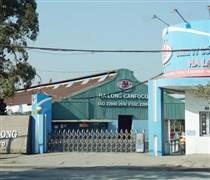 Hải Phòng: Dừng sản xuất, Đồ hộp Hạ Long vẫn trả lương cho người lao động