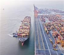 MVN: Cổ phiếu MVN 'cháy hàng' sau kế hoạch thoái vốn Nhà nước và chuyển sàn