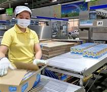 QNS: ‘Sức khỏe’ đường Quảng Ngãi có chiều hướng suy giảm, Phó Chủ tịch Võ Thành Đàng vẫn kiên trì mua cổ phiếu