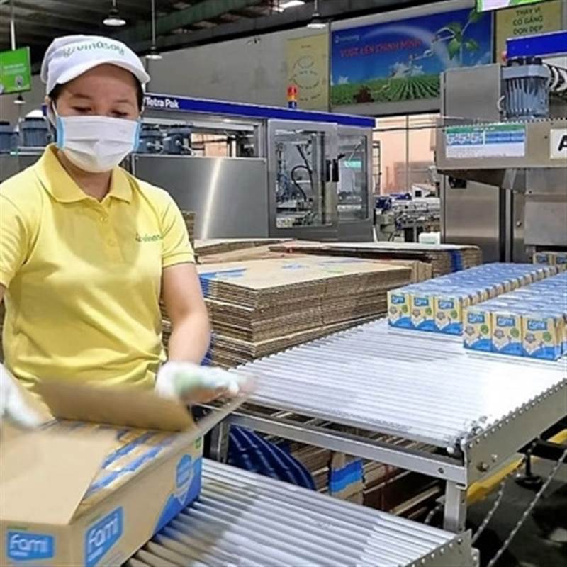 QNS: ‘Sức khỏe’ đường Quảng Ngãi có chiều hướng suy giảm, Phó Chủ tịch Võ Thành Đàng vẫn kiên trì mua cổ phiếu