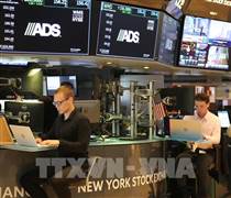 Chỉ số Nasdaq dẫn đầu đà giảm trên Phố Wall